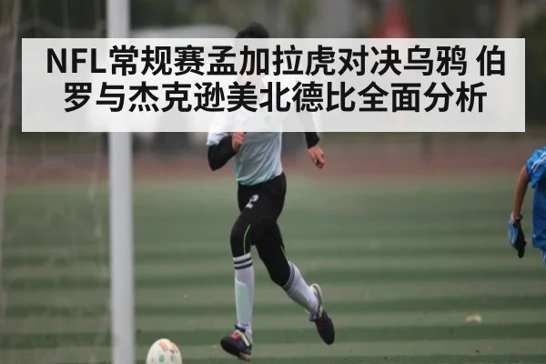 NFL常规赛孟加拉虎对决乌鸦 伯罗与杰克逊美北德比全面分析